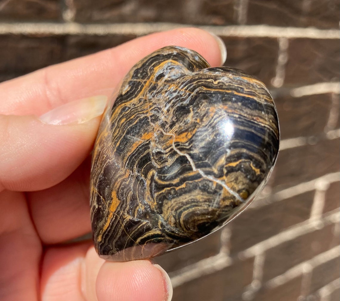 2 Inch Stromatolite Heart Polished Stone Fossil Heart Gift | Etsy