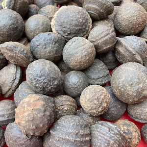 Moqui Marble Balls, Shaman Stones