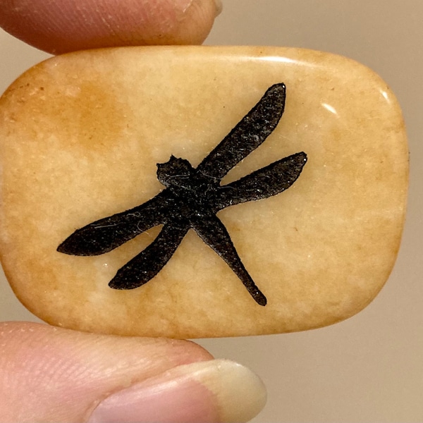 Pick Your Favorite  Dragonfly Totem Stone, Spirit Animal Crystal Healing Gift