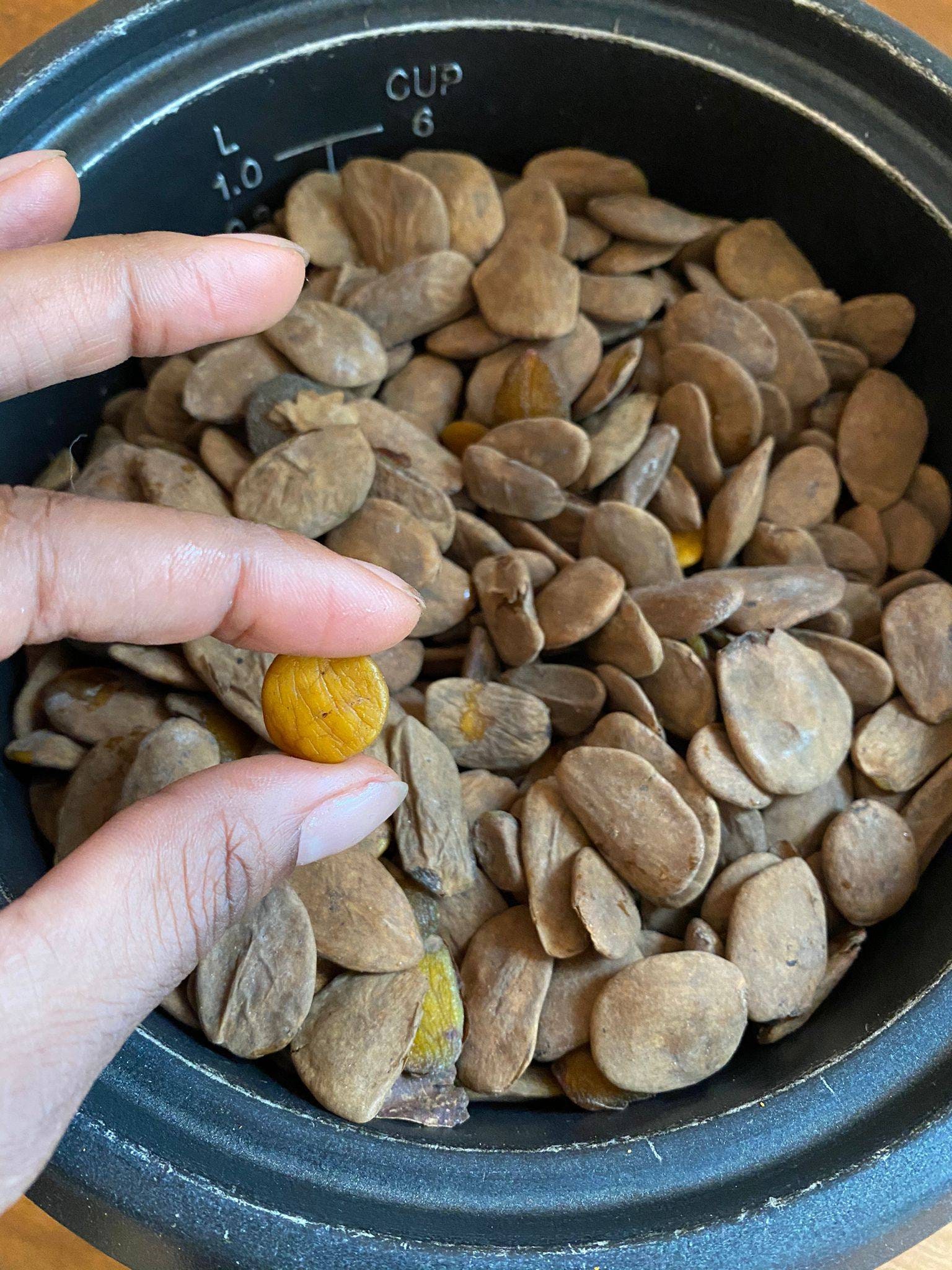 Akuamma Graines de Bonobos | 120 Grammes