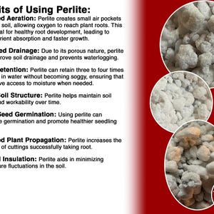 May include: An informational graphic titled Benefits of Using Perlite listing points on aeration, drainage, water retention, soil structure, germination, propagation, and insulation, alongside three circular close-up images of white perlite rocks.
