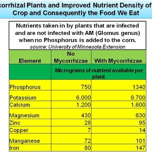 Mycorrhizae Inoculant Powder image 3