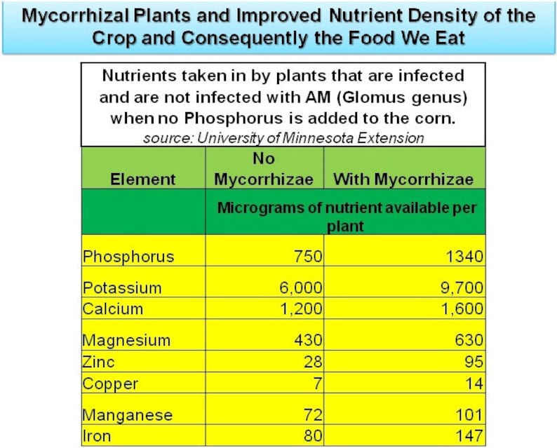 Mycorrhizae Inoculant Powder image 3