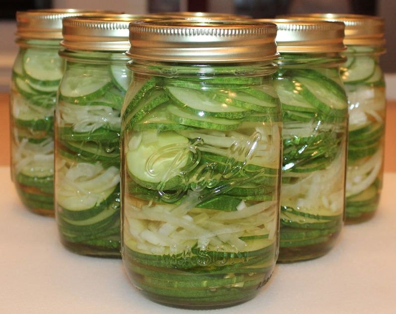 Organic Pickling Cucumber Seed mycorrhizae Inoculated/bulk Etsy