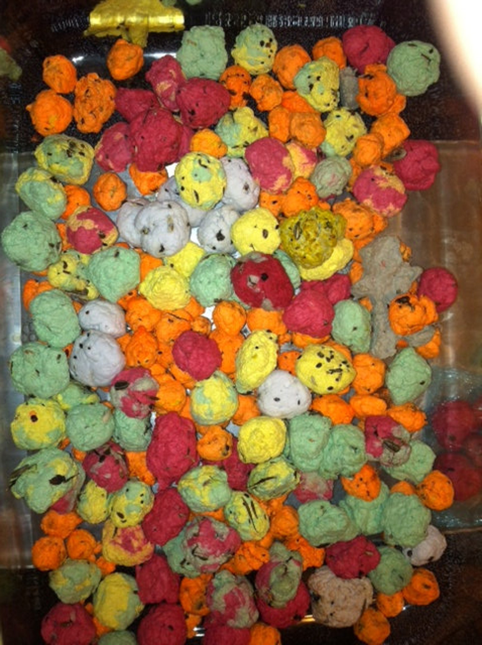 200 Native Wildflower Seed Bombs Spring is Coming Etsy