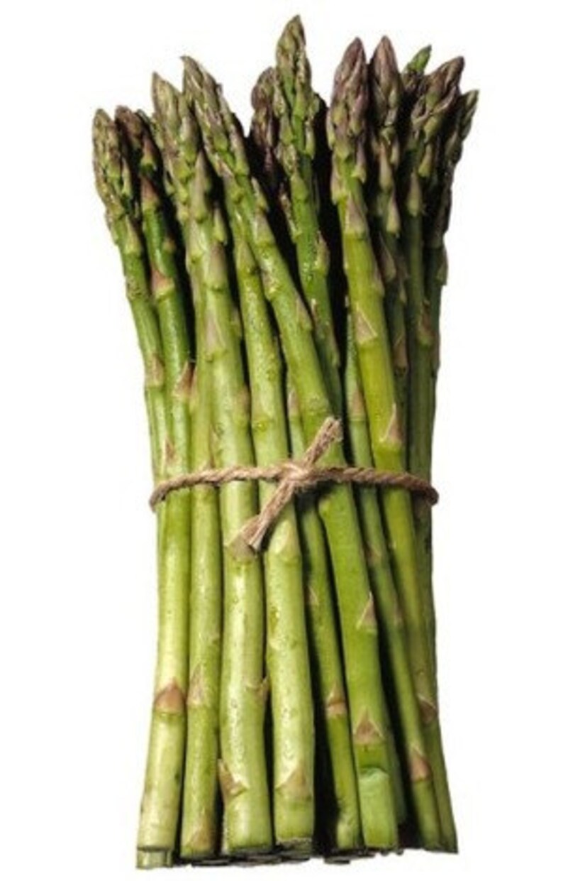 Organic Asparagus Seeds mycorrhizae Fortified/bulk Available Etsy