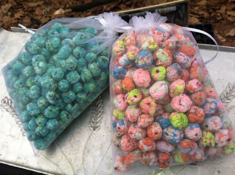 200 Native Wildflower Seed Bombs Spring is Coming Etsy