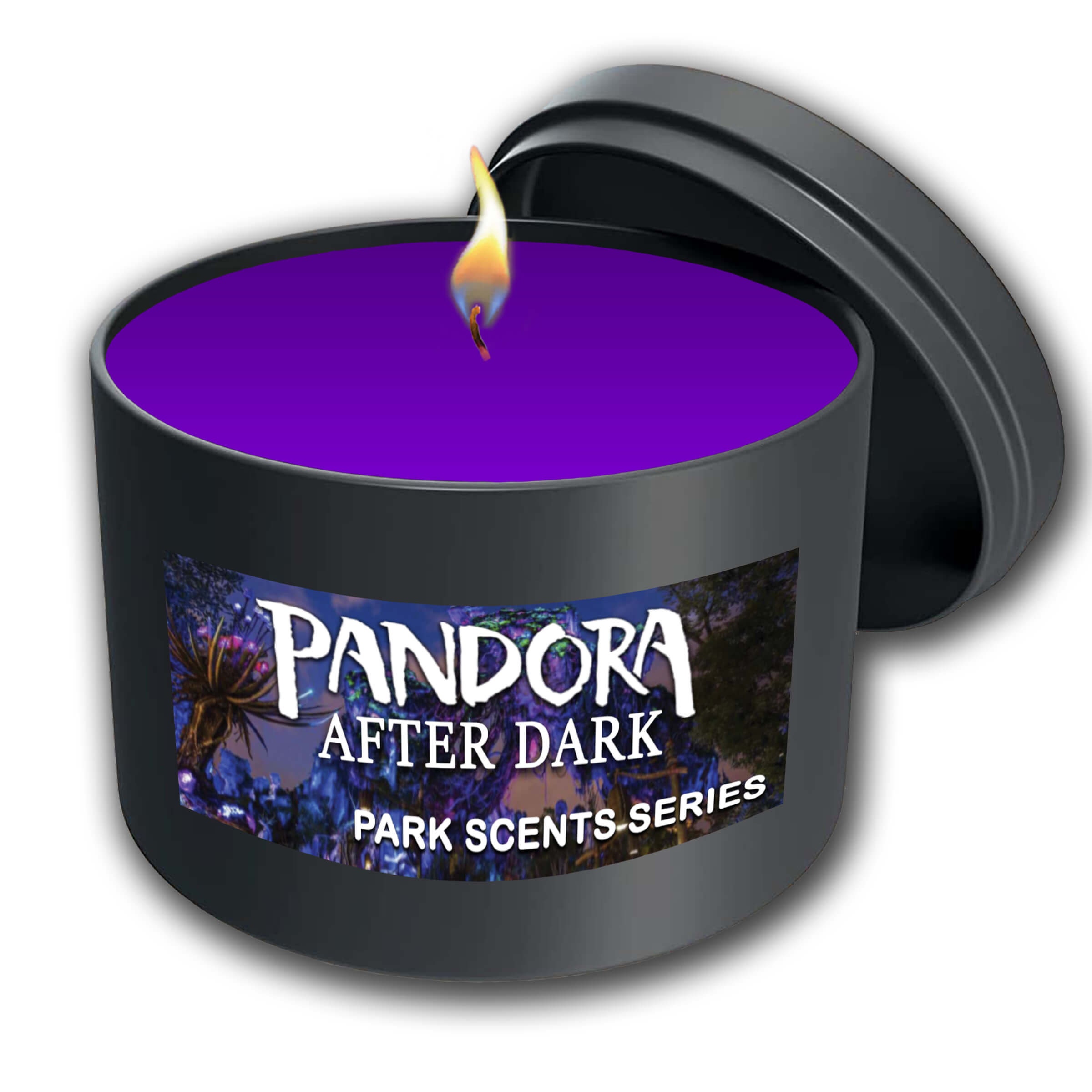 Park Scents Extra-terrestrial Adventure Candle ET Handmade 