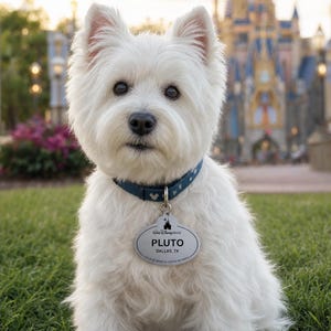 Cast Member Tag, Custom Pet Tag, Disney Pet ID Tag, Disney Dog Tag, Stainless Steel Tag, Theme Park Tag, Personalized Dog Tag, Engraved Pet ID, Magic Kingdom Tag, Disney Name Tag, Safe Metal Dog Tag, Cute Cat ID Tag, Custom Pet Gift, cast member pet tag, disney world dog tag, disney inspired pet tag, theme park cast member badge, stainless steel pet id, durable chew proof dog tag, personalized disney name badge, wdw cast member tag pet, disney cat tag, pluto name tag