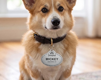 May include: A tan and white Corgi dog wearing a dark brown leather collar with a silver-toned oval metal pet ID tag. The tag features the Disneyland logo, the name MICKEY, the location ANAHEIM, CA, and the text WHERE DREAMS COME TRUE.