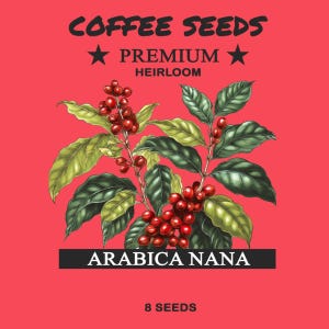 Coffee Seeds - Coffea Arabica Nana Seeds Coffee Plant Indoor Hardy Flower Garden Mix Premium Best Heirloom Gardener Gift Pollinator Non-GMO