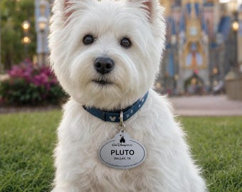 Médaille d'identification personnalisée pour animal de compagnie des acteurs du parc à thème Disney - Médaille d'identité en acier inoxydable inspirée de Disney World pour chiens et chats - Médaille personnalisée pour animal de compagnie