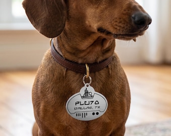 Médaille d'identification personnalisée Aurebesh Disney Cast Member pour animaux de compagnie - Médaille pour chien Galaxy's Edge Batuu en acier inoxydable - Star Wars inspiré gravé nom
