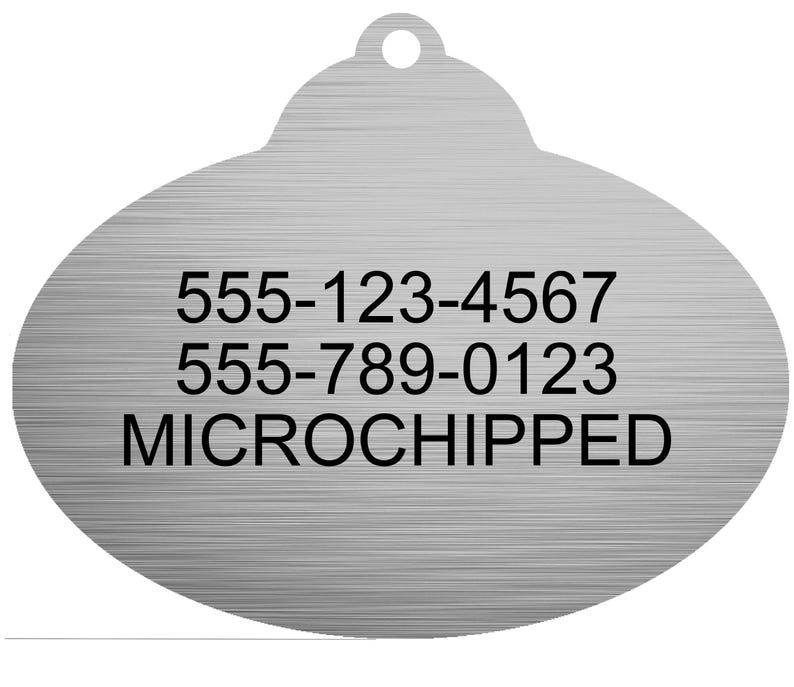 Cast Member Tag, Custom Pet Tag, Disney Pet ID Tag, Disney Dog Tag, Stainless Steel Tag, Theme Park Tag, Personalized Dog Tag, Engraved Pet ID, Magic Kingdom Tag, Disney Name Tag, Safe Metal Dog Tag, Cute Cat ID Tag, Custom Pet Gift, cast member pet tag, disney world dog tag, disney inspired pet tag, theme park cast member badge, stainless steel pet id, durable chew proof dog tag, personalized disney name badge, wdw cast member tag pet, disney cat tag, pluto name tag