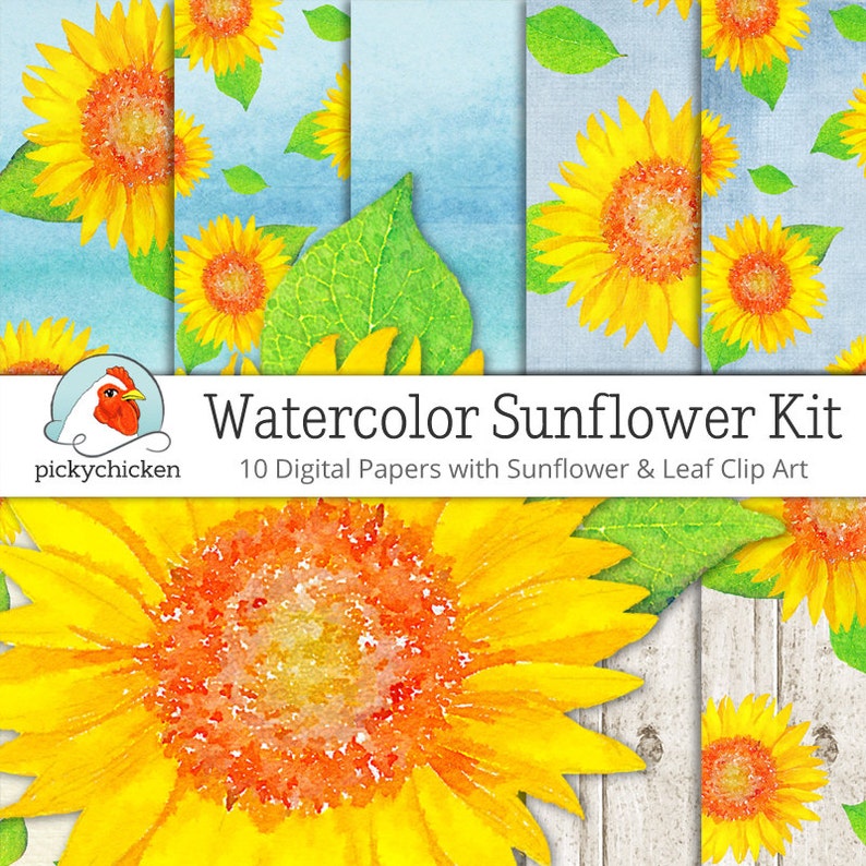 Watercolor Sunflower Digital Paper & Clip Art kit sunflower image 1