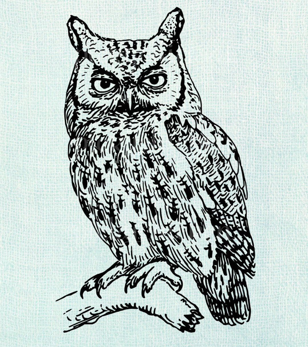 Wise Owl 8x10 Digital Download Printable Image for Transfer Etsy
