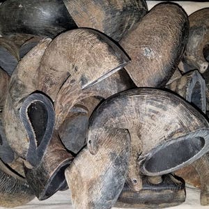Small Water Buffalo Horn Chews