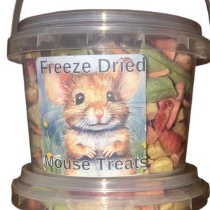 Freeze Dried Mouse Treats: Fruit & Veggie Mix, Natural Foraging Food - Etsy