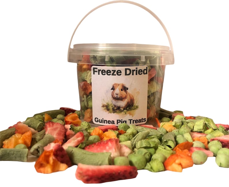 Guinea Pig Treat Mix Freeze Dried Veggies & Fruit Snack 1oz Bucket of ...