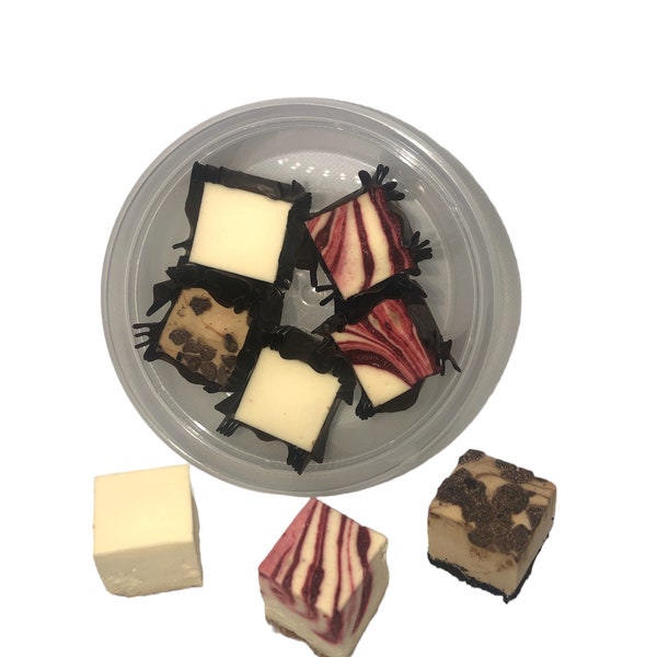 Freeze Dried Mini Cheesecake Sampler Candy Box, Sweet Delicious Handmade Cheesecake Cube Candies, Desserts, Strawberry Chocolate Chip Treats