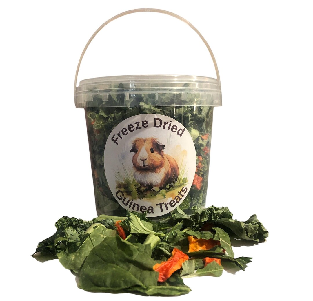 Image showcasing Freeze Dried Guinea Pig Treats: Kale, Spinach, Broccoli, Green Beans ...