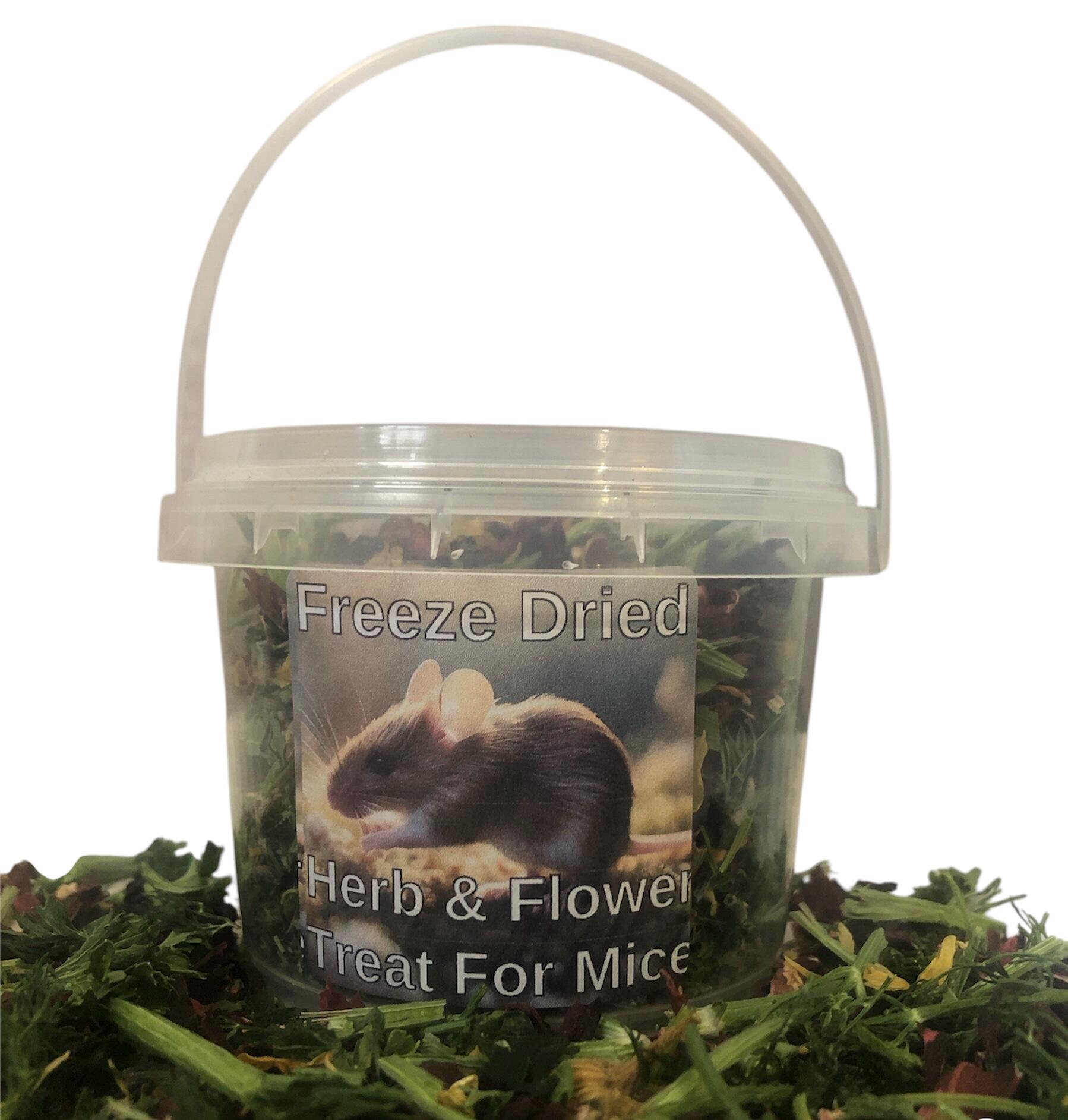 Freeze-dried Herb Flower Foraging Treat for Mice, Rat Supplies, Freeze ...