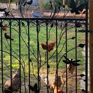 May include: A black metal gate with a decorative design featuring leaves, birds, and butterflies. The gate is open and there are several chickens in the background.