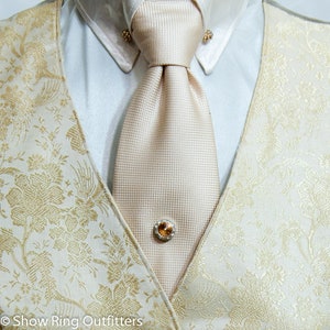 Cravate magnétique en cristal, 25 couleurs, argent ou or, accessoires de cravate pour hommes, formel, croisière, mariage, bal de promo, cadeau de garçon d'honneur image 1