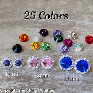 May include: 25 Colors of round rhinestones in various sizes and colors, including black, white, red, blue, green, purple, and orange. The rhinestones are set in silver settings with a decorative border. The sizes are 11mm, 13mm, and 15mm.