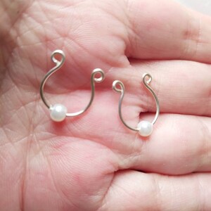 以下が含まれることがあります： 小さな白い真珠のアクセントが付いた、銀製の鼻のリングが2つ