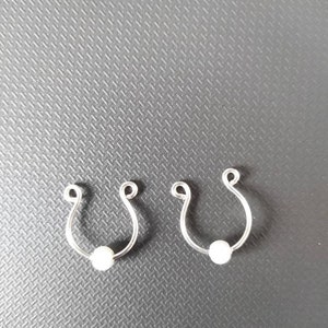 以下が含まれることがあります： 白い真珠がついた銀色の鼻のリングが2つ