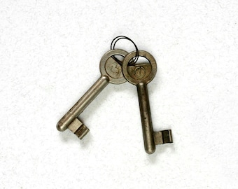 Vintage skeleton Keys, Set of 2 keys, mid century home decor, cottage chic, Chabby chic, ohtteam