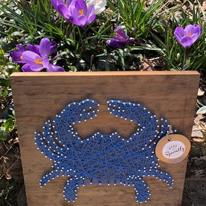 Puede incluir: Arte de hilo azul de un cangrejo sobre un fondo de madera. El cangrejo está delineado con clavos blancos y el fondo es de madera marrón oscura. Una pequeña etiqueta con el texto "Made Specially" está unida a la esquina inferior derecha de la obra de arte.