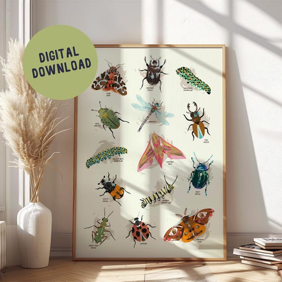 A2 Insect print with names for boys room, bug illustration, beetles, caterpillars, moths, dragonfly, colorful montessori learning print