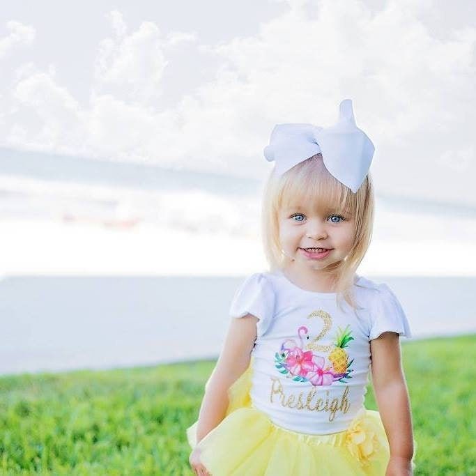Luau Birthday Shirt Tropical 1st Birthday Outfit Pineapple Birthday Leotard Flamingo Second Birthday First Birthday Shirt, Squishy Cheeks