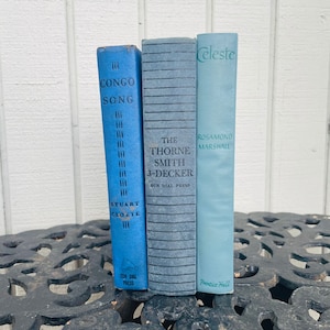 Blue Book Set - Vintage Books - Book Collection