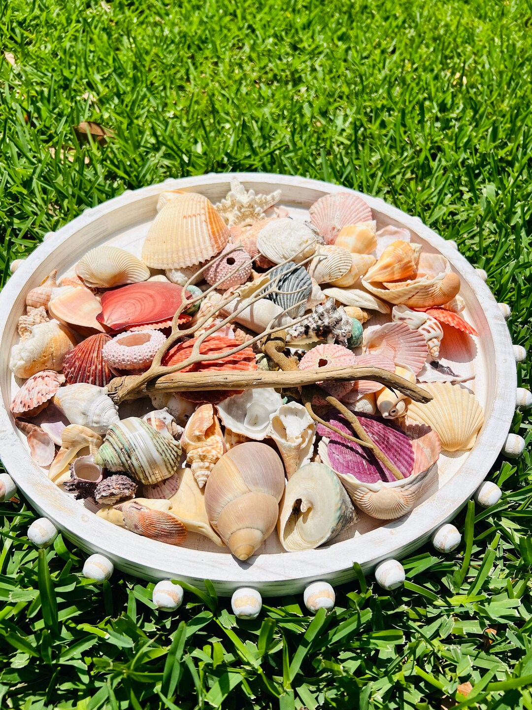 Vintage Seashell Decoration-round Tray-tray With Shells-coastal Decor ...