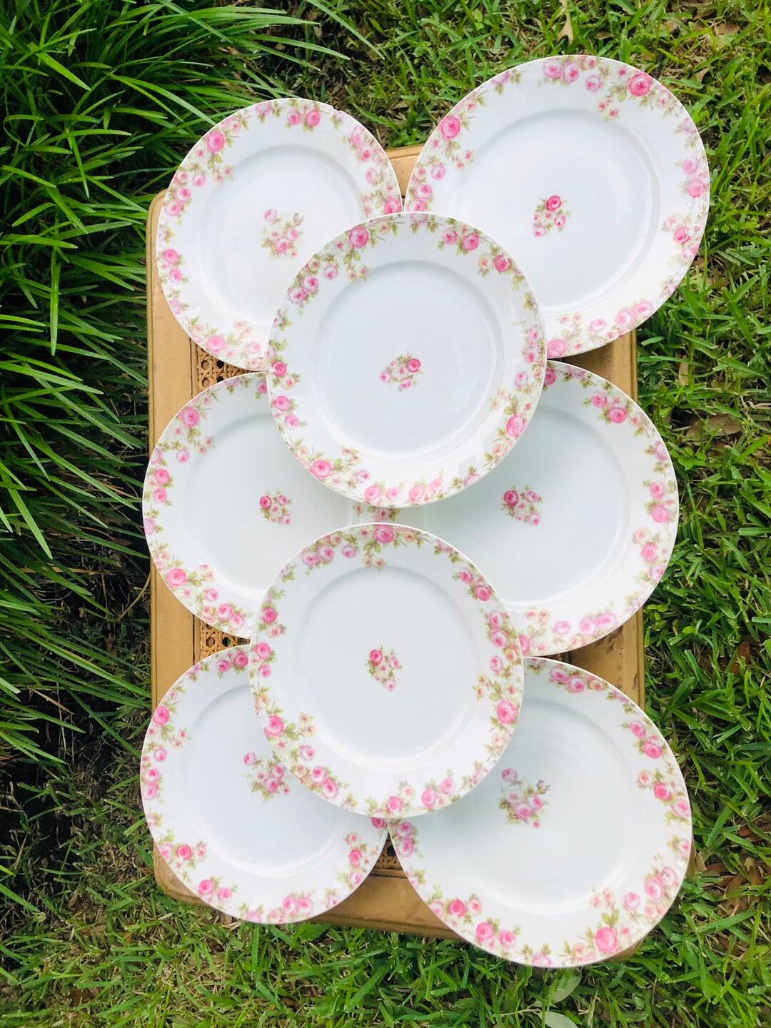 Vintage Limoge Salad Plates China Plates Roses Set of 8 Etsy