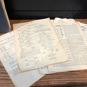 Aged Vintage Dictionary Pages Illustrated Bundle Lot of 25