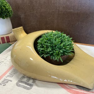 May include: A light yellow ceramic planter with a distinctive shape, containing a small green plant. The planter has a curved design with a circular opening. A small white pot with a green plant is in the background.