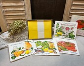 Current Gourmet Recipe Notes Boxed Set of 12