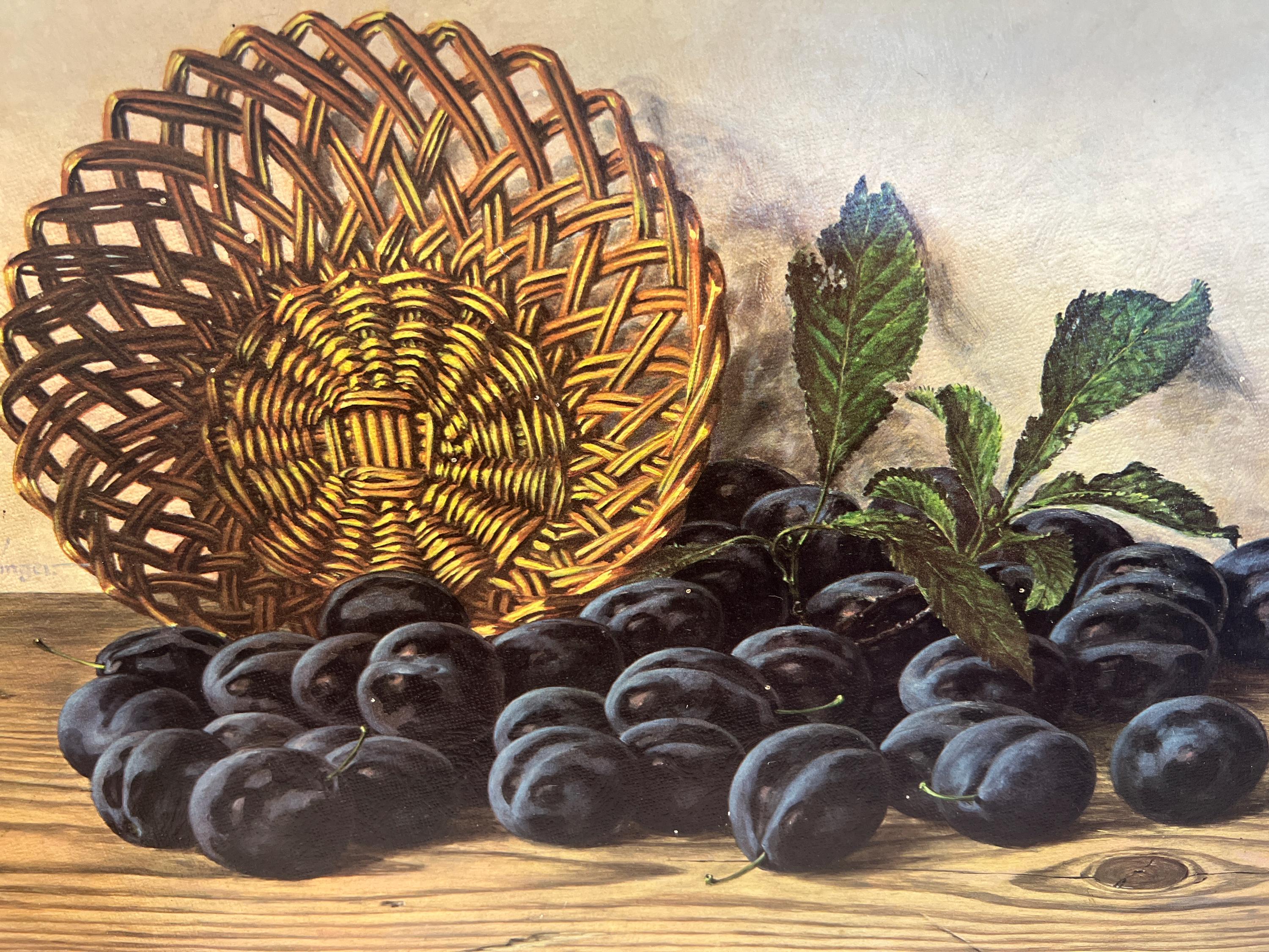 Fruit Still Life Picture Black Plums & Basket Wide Wood Frame - Etsy
