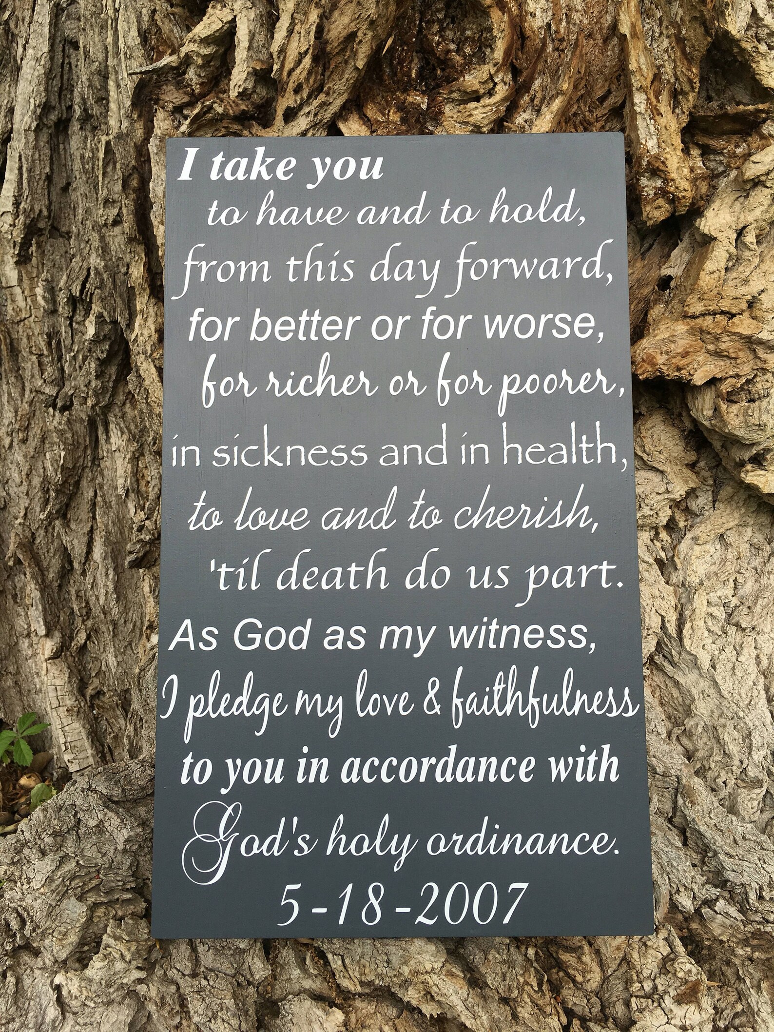 To have and to hold wedding vows sign. Traditional wedding 