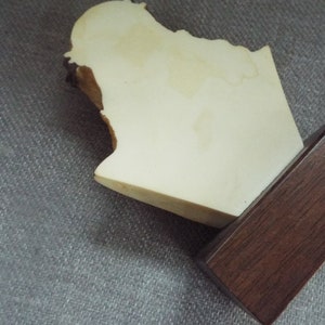 May include: A white plaster bust of a person on a dark brown wooden base.