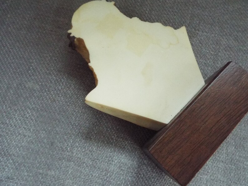 May include: A white plaster bust of a person on a dark brown wooden base.