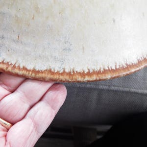 May include: A ceramic bowl with a cream-colored, speckled surface and a distinct, textured brown rim. The glaze transitions from a smooth, light off-white center to a darker, earthy brown edge with visible vertical drip-like patterns along the border.