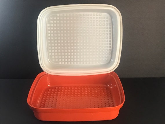 Tupperware, Kitchen, Vintage Tupperware Marinade Meat Tenderizer Container  Paprika Made In Usa