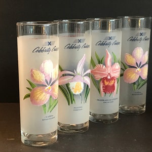 May include: Set of four frosted glass tumblers featuring orchid illustrations and the text "Celebrity Cruises". Each glass showcases a different orchid species with its name and botanical classification.