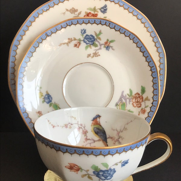 Rare Find, Antique Theodore Haviland Limoges France, Bird of Paradise Pattern, Set of 3 pcs, Teacup and Saucer, Bread and Butter Plate