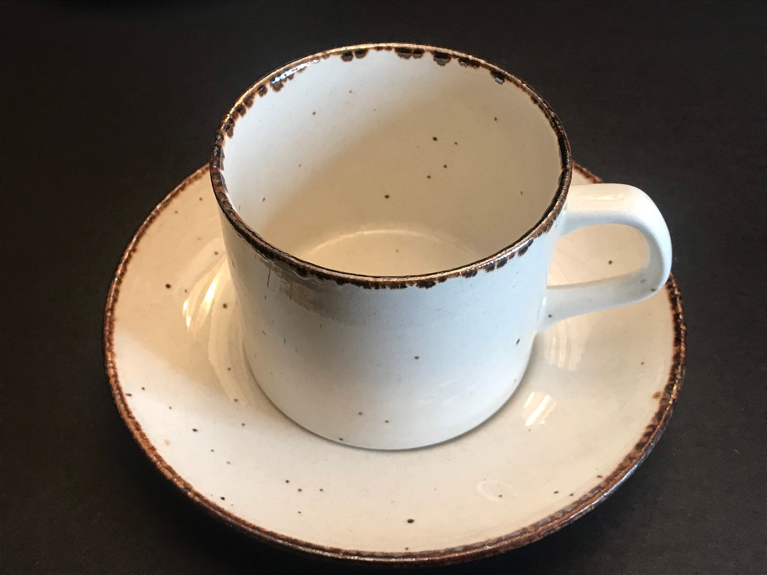 Vintage J&G Meakin Stoneware Cup and Saucer Set, Lifestyle Pattern